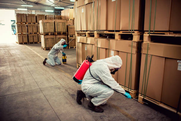 Best Termite Control Services  in Princeton, KY