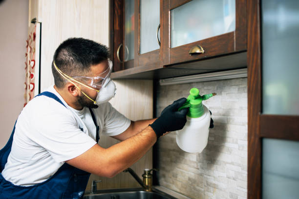 Best Commercial Pest Control Services  in Princeton, KY