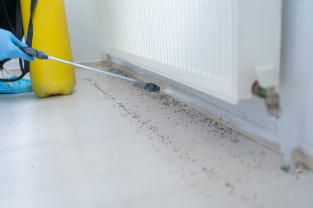 Best Best Pest Control Companies  in Princeton, KY