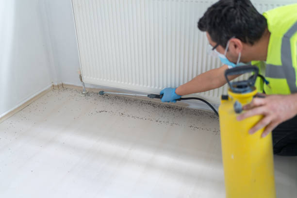 Best Affordable Pest Control Services  in Princeton, KY